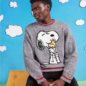 Teddy Fresh x Peanuts Knit Sweater Snoopy Woodstock Oversized XS